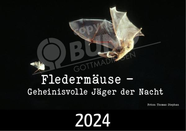 Fledermauskalender für 2024- Titel